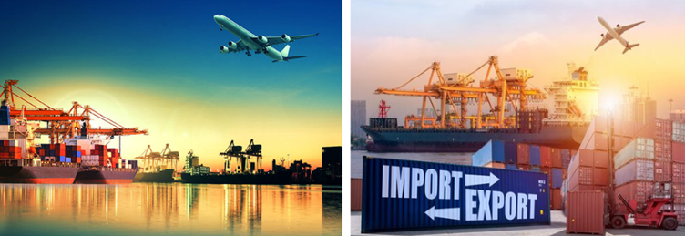 Project Shipment Services - Image 5